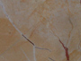 marble tiles