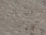 travertine tiles